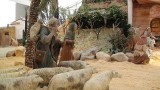 2015-12-09-023-136-SP-Boln-Uitstapje-Murcia-Maquette-Christus-verhaal