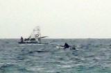 2016-01-02-049-84-SP-Boln-boot-surf