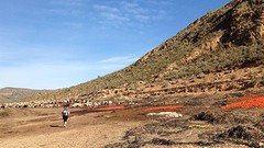 2016-01-19-di-066-02-SP-Boln-Wandeling