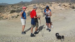 2016-01-22-vr-069-54-SP-Boln-Wand-ld-kust