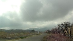 2016-01-27-106-SP-Boln-dagje-Toledo-Aledo