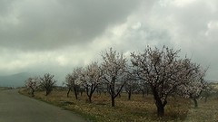 2016-01-27-110-SP-Boln-dagje-Toledo-Aledo