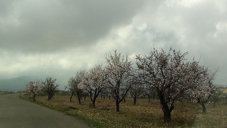 2016-01-27-110-SP-Boln-dagje-Toledo-Aledo