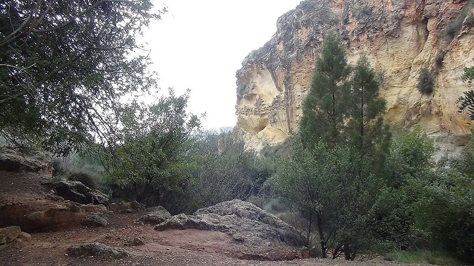 2016-01-27-166-SP-Boln-dagje-Toledo-Aledo