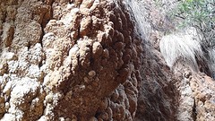 2016-01-27-194-SP-Boln-dagje-Toledo-Aledo