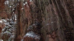 2016-01-27-222-SP-Boln-dagje-Toledo-Aledo