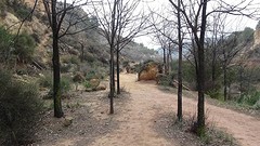 2016-01-27-260-SP-Boln-dagje-Toledo-Aledo
