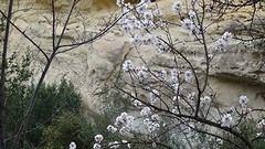 2016-01-27-268-SP-Boln-dagje-Toledo-Aledo