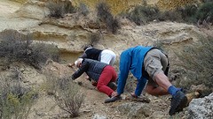 2016-01-27-292-SP-Boln-dagje-Toledo-Aledo