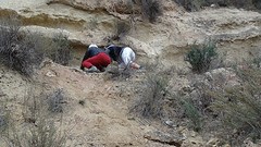 2016-01-27-294-SP-Boln-dagje-Toledo-Aledo