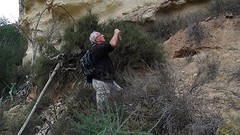 2016-01-27-298-SP-Boln-dagje-Toledo-Aledo