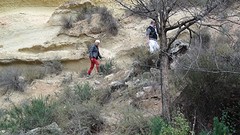 2016-01-27-300-SP-Boln-dagje-Toledo-Aledo