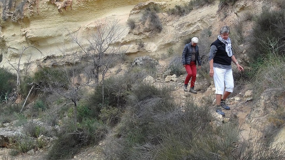 2016-01-27-302-SP-Boln-dagje-Toledo-Aledo