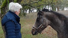 2016-11-06-14-FR-Payrac-Beth-m-Paard