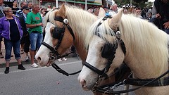 2016-11-20-208-SP-Boln-Processie-Iph-Bet