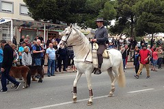 2016-11-20-240-SP-Boln-Processie-Iph-Bet