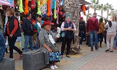 2016-11-20-612-SP-Boln-Processie