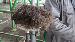 2016-12-03-302-Sp-Boln-Bezoek-Olijffabriek