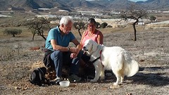 2016-12-06-022-Sp-Boln-Wandlng-De-Nolleke-Pastrana-Route