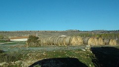 2016-11-11-072-SP-naar-Bolnuevo