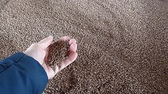 2016-12-03-350-Sp-Boln-Bezoek-Olijffabriek