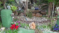 2018-11-20-di-004-Boln-Wandeling-naar-de-Kazerne bloemen op de camping