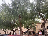 D0FA247D-2AA1-42FB-9D72-1AEB8B774925