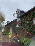 IMG_8285