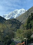 IMG_8315
