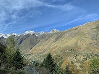 IMG_8317