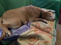 IMG_1305