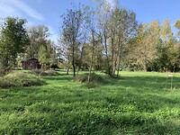 IMG_1260