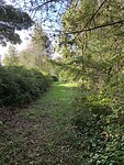 IMG_1261