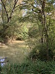 IMG_1262