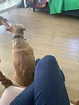 IMG_1283