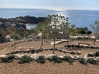 IMG_1702