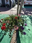 IMG_1882