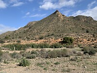 IMG_1767