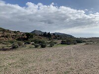 IMG_1768