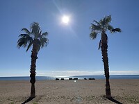 IMG_1818