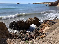IMG_5628
