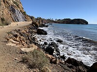 IMG_5624