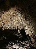 Hastings Caves