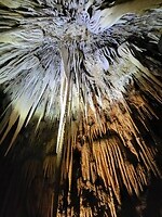 Hastings Caves