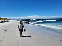 Strandwandelingetje