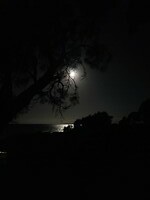 Volle maan