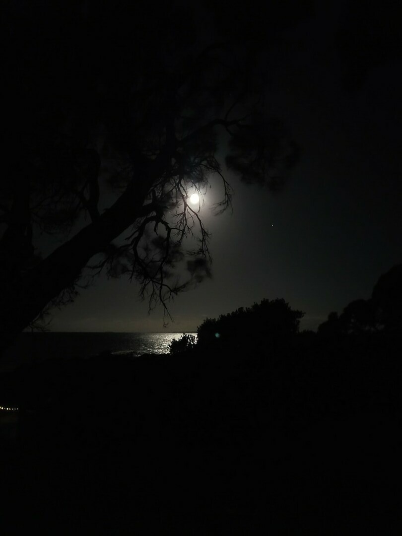 Volle maan