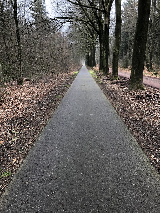 Het begin