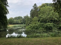 Bij Zwolle