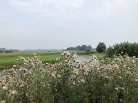 Langs de Ijssel (westzijde)